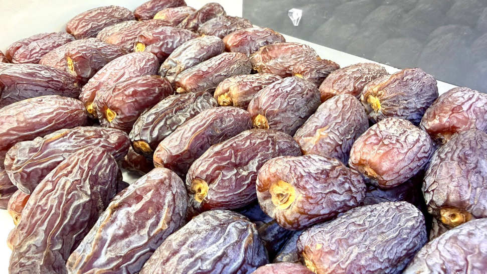 Medjool Dates